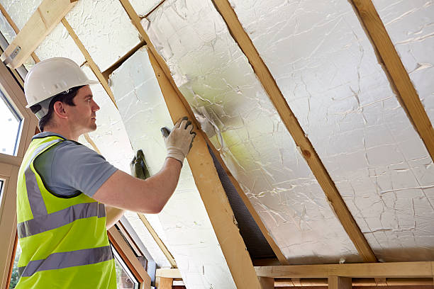 Best Insulation Removal  in Tornado, WV