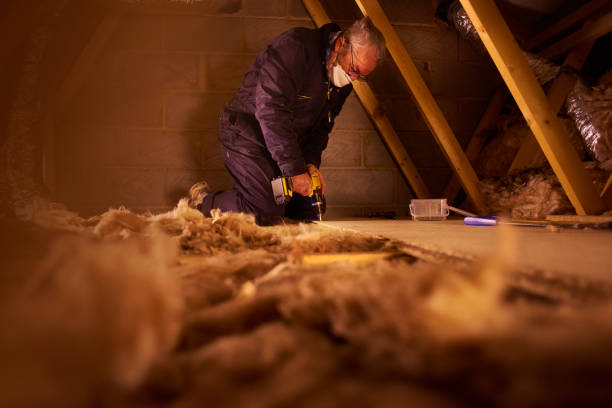 Best Insulation Contractors for Homes  in Tornado, WV