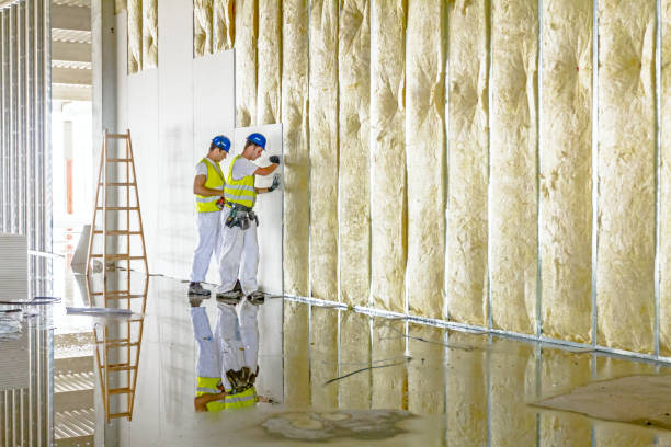 Insulation Repair Services in Tornado, WV